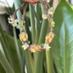 Handmade Bohemian Crystal Flower Bracelet——Bring the Charm of Nature to Your Wrist - Image 4